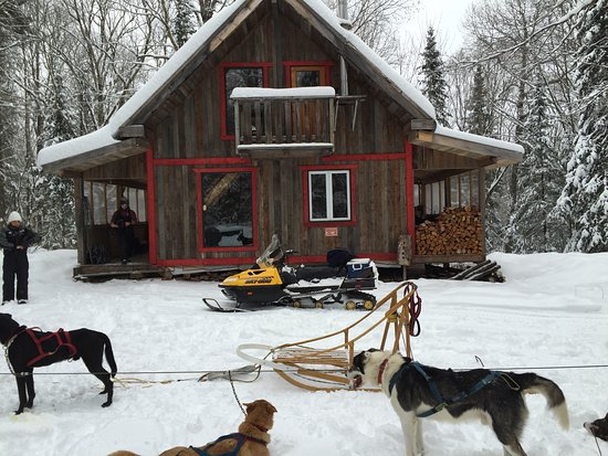 Traineau a chiens Montreal