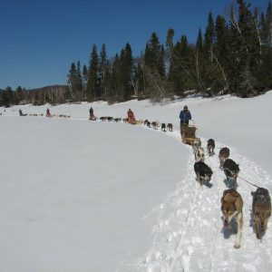 Traineau à chiens au Canada