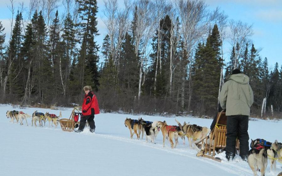Traineau a chiens Montreal