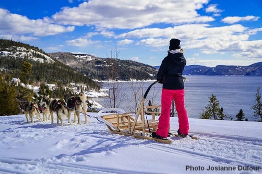 Traineau a chiens Saguenay