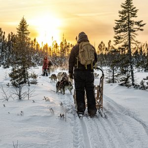 Traineau a chiens Musher