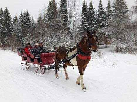 Noel Quebec