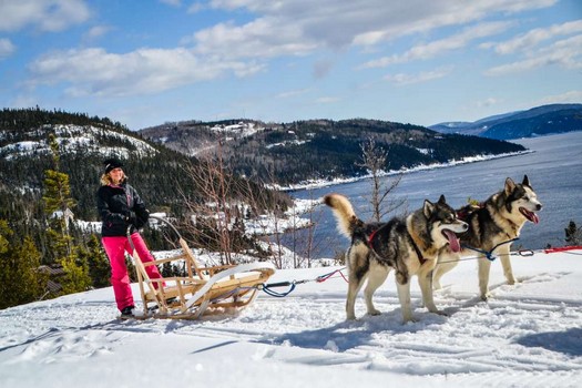 Traineau a chiens Saguenay