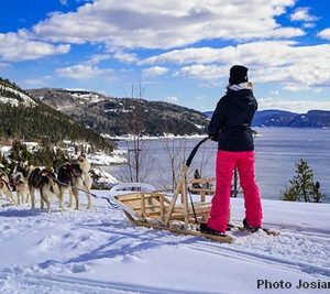 Traineau à chiens Saguenay02