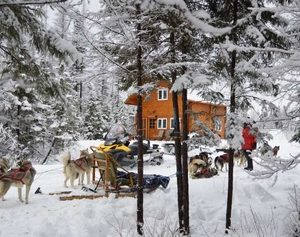 Traîneau à chiens Québec