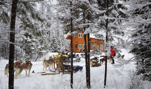 Traineau a chiens Quebec