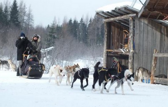 Traineau a chiens Montreal