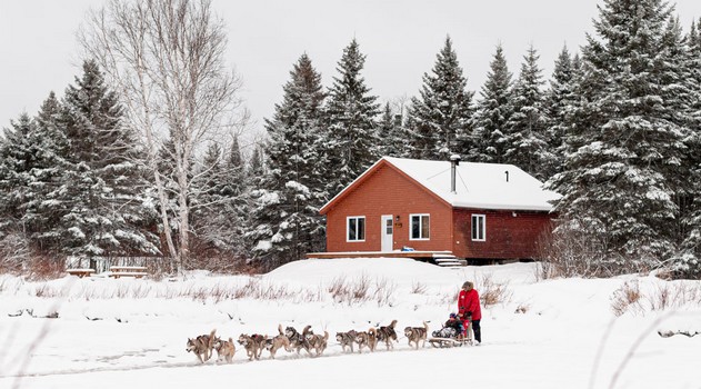 Traineau a chiens Quebec